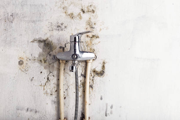 Office Mold Removal Services in Anna, OH