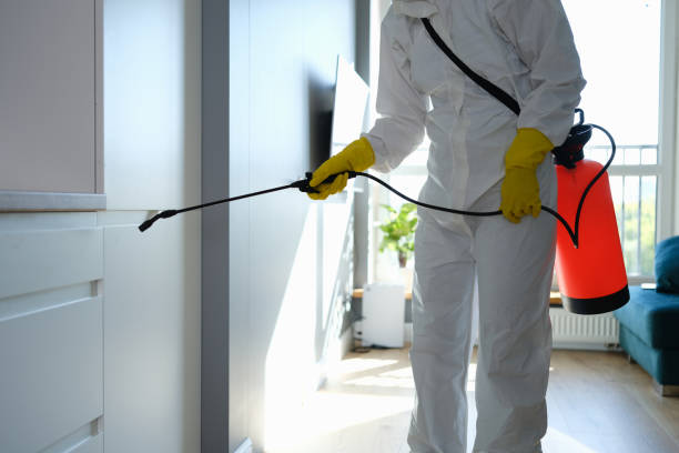 Best Home Mold Removal  in Anna, OH